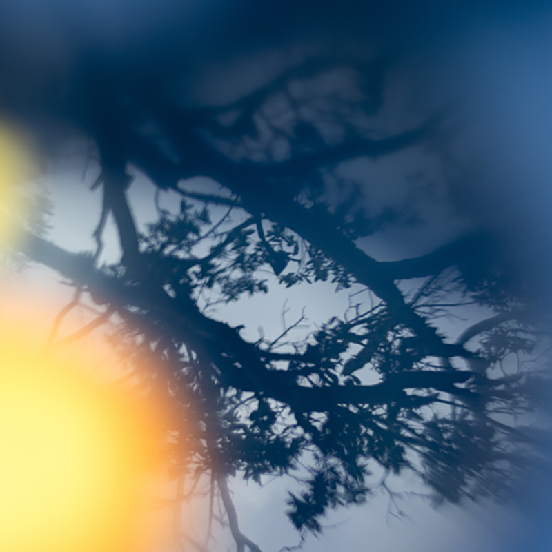 A representative artwork from a painting series.